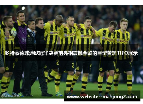 多特蒙德球迷欧冠半决赛前亮相震撼全欧的巨型黄黑TIFO展示