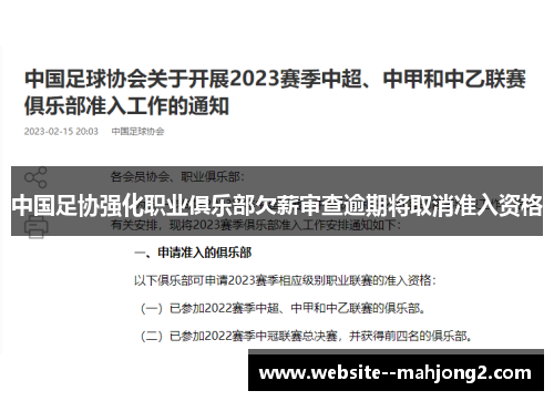 中国足协强化职业俱乐部欠薪审查逾期将取消准入资格 中国足协强化职业俱乐部欠薪审查逾期将取消准入资格