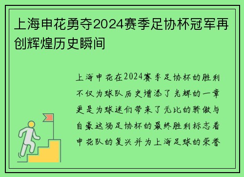上海申花勇夺2024赛季足协杯冠军再创辉煌历史瞬间